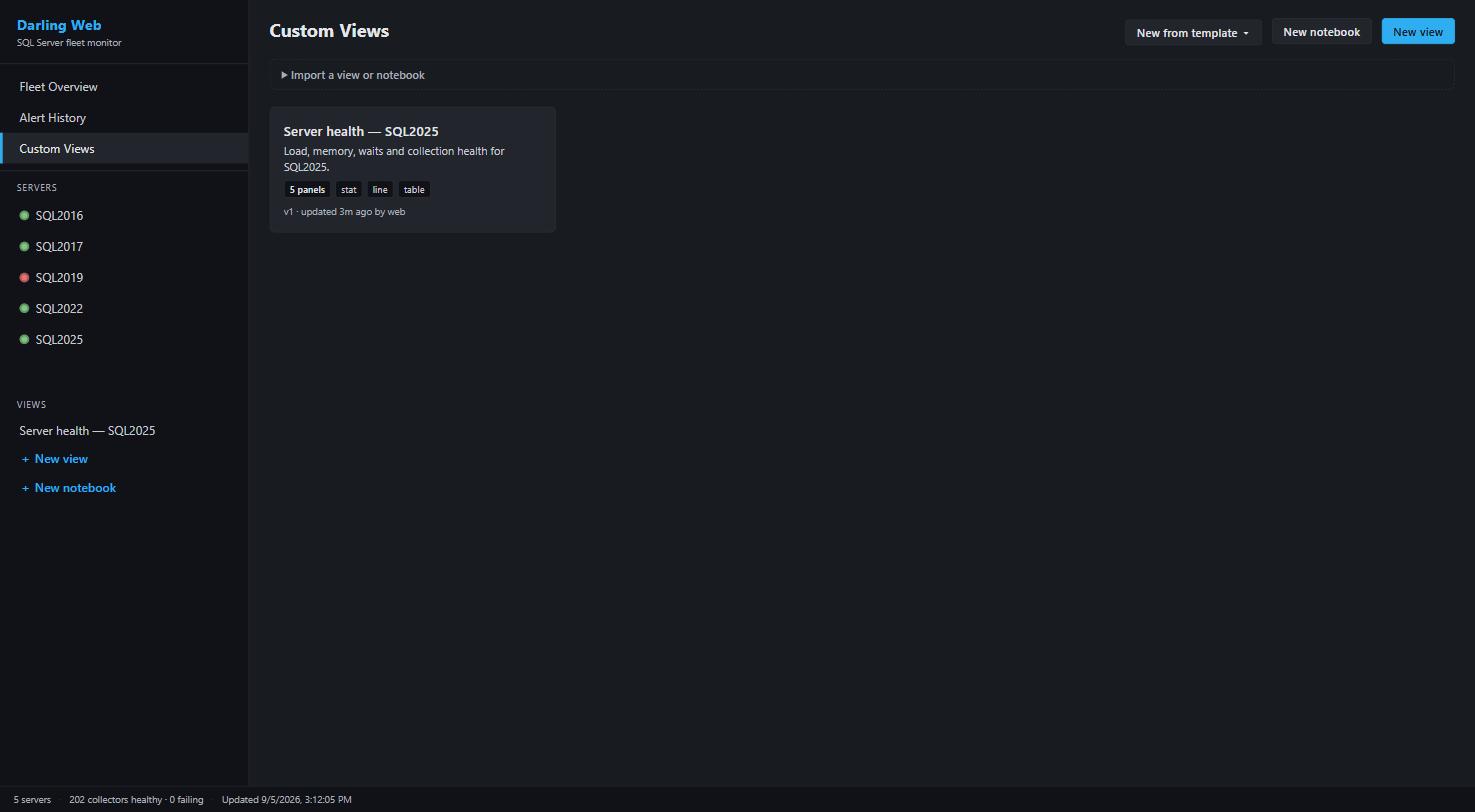 Custom Views page with a saved dashboard card, template roster, and JSON import